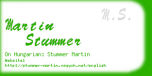 martin stummer business card